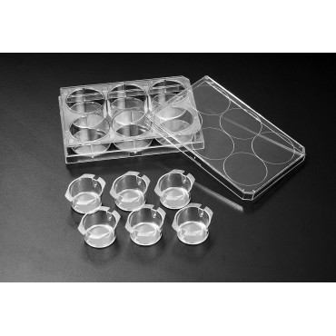 35106 Inserts & 6 well plate,PS,PC mebrance,semi translucent